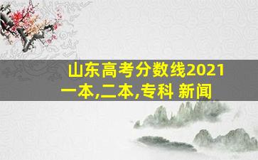 山东高考分数线2021一本,二本,专科 新闻